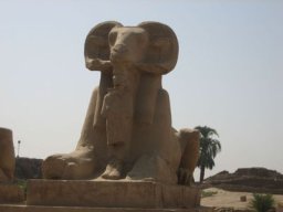 Bilder Ägypten-006